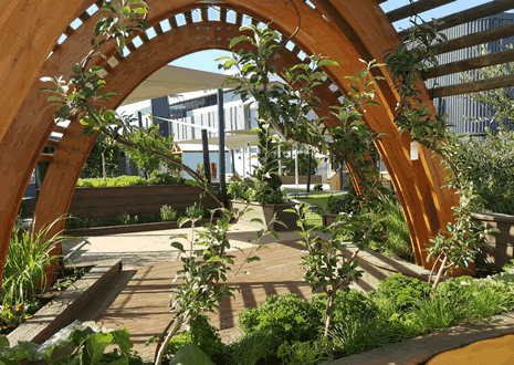 Early Childhood Landscape Design Platypus Junction Mulgrave Childcare Centre Botanical Traditions